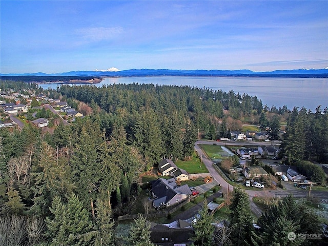 aerial view featuring a water and mountain view