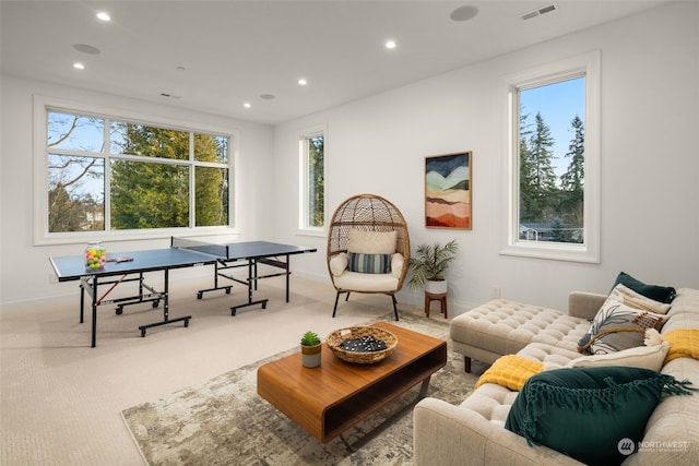 interior space featuring light carpet and a wealth of natural light