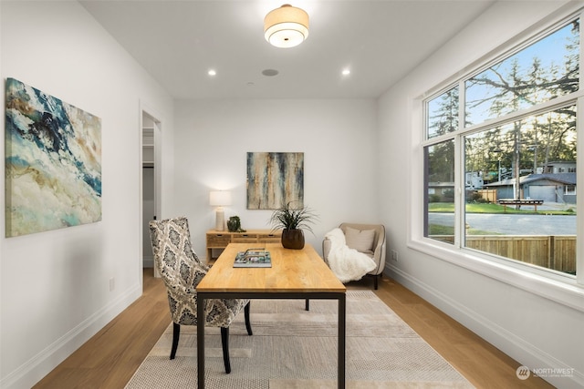 office with a wealth of natural light and light hardwood / wood-style flooring