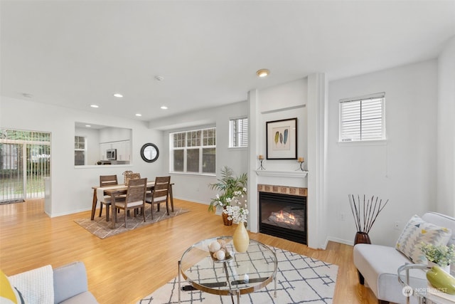 living room featuring a fireplace and light hardwood / wood-style floors