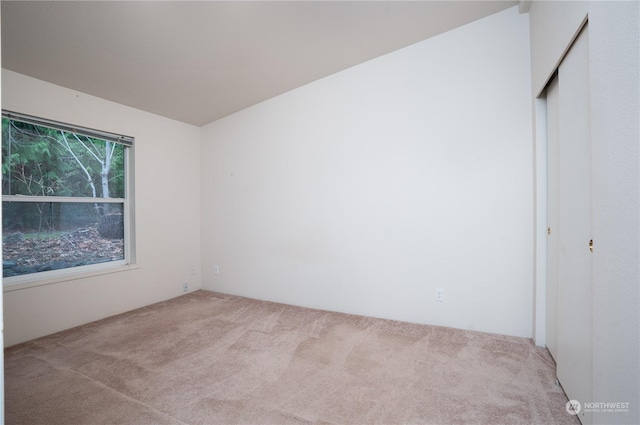 unfurnished bedroom featuring light colored carpet and a closet