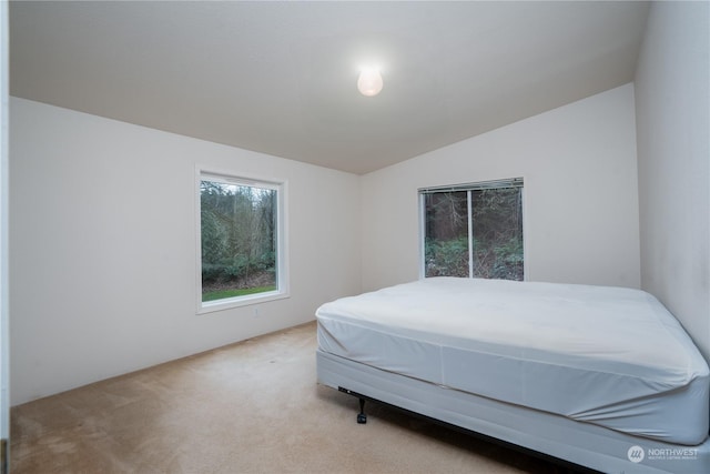 bedroom with light colored carpet and vaulted ceiling