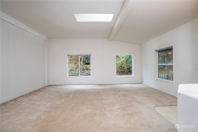 carpeted empty room with lofted ceiling with skylight