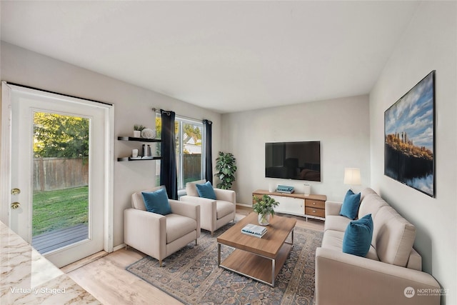 living room featuring wood-type flooring