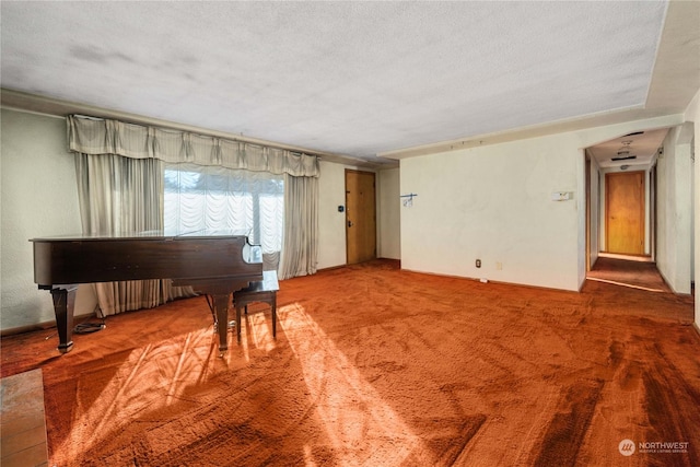 misc room with carpet floors and a textured ceiling