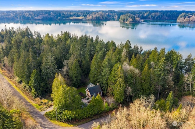 drone / aerial view featuring a water view