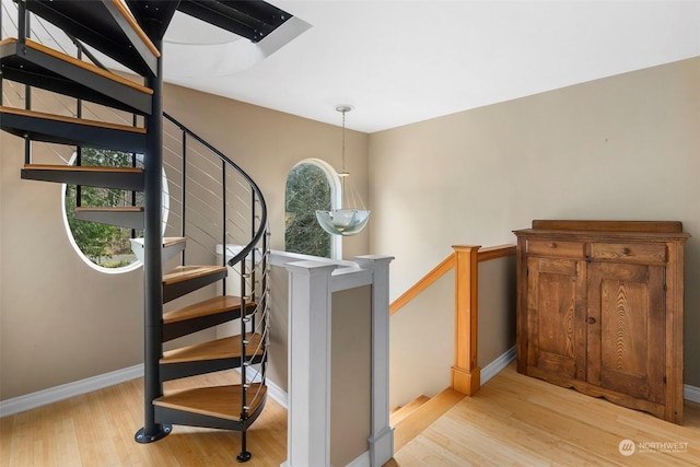 staircase featuring hardwood / wood-style floors