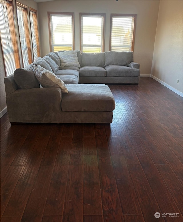 living room with dark hardwood / wood-style floors