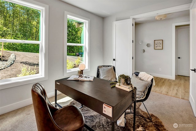 dining space featuring light wood-type flooring