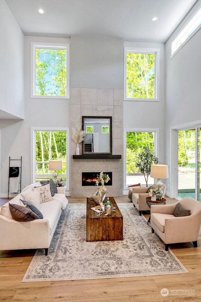 living room featuring a high ceiling, light hardwood / wood-style flooring, and a fireplace