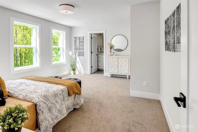 carpeted bedroom with connected bathroom