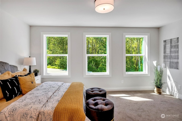 bedroom with carpet floors