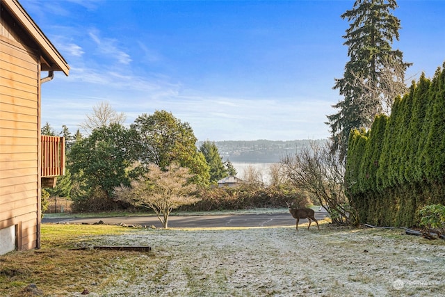 view of yard with a water view