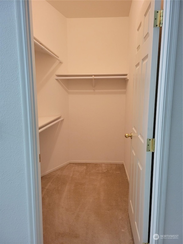 walk in closet featuring light carpet