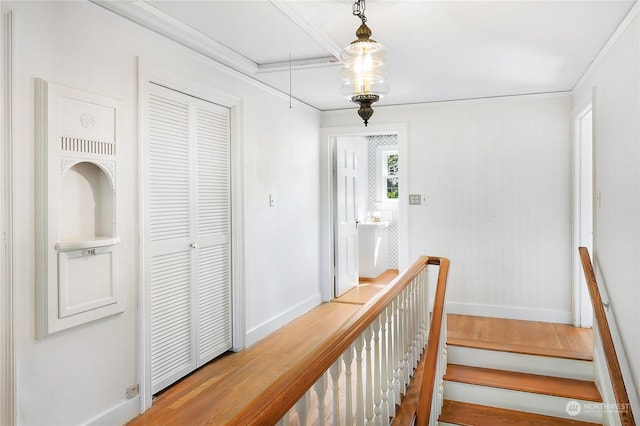 hall with crown molding and hardwood / wood-style floors