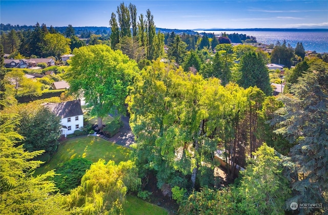 drone / aerial view featuring a water view