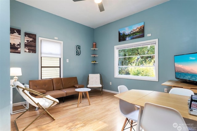 office space featuring ceiling fan and light hardwood / wood-style flooring