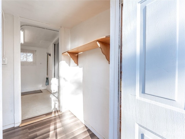 hall with hardwood / wood-style floors