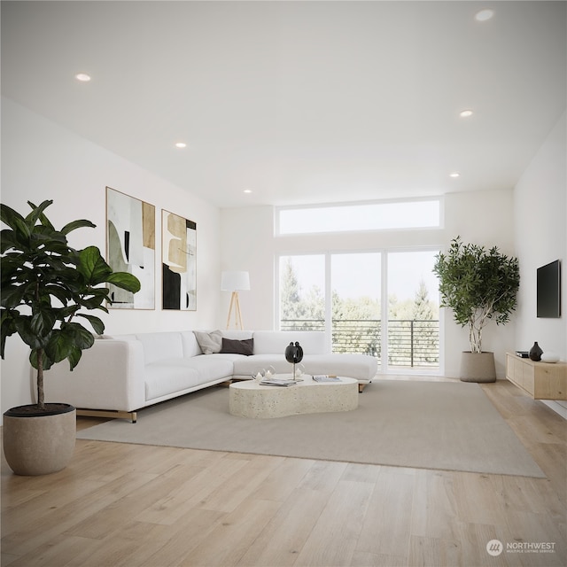 living room with light hardwood / wood-style floors