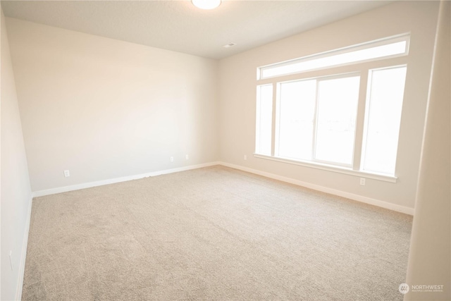 unfurnished room with carpet