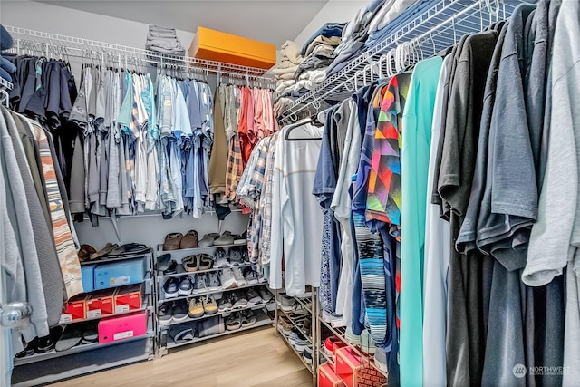 spacious closet with hardwood / wood-style flooring