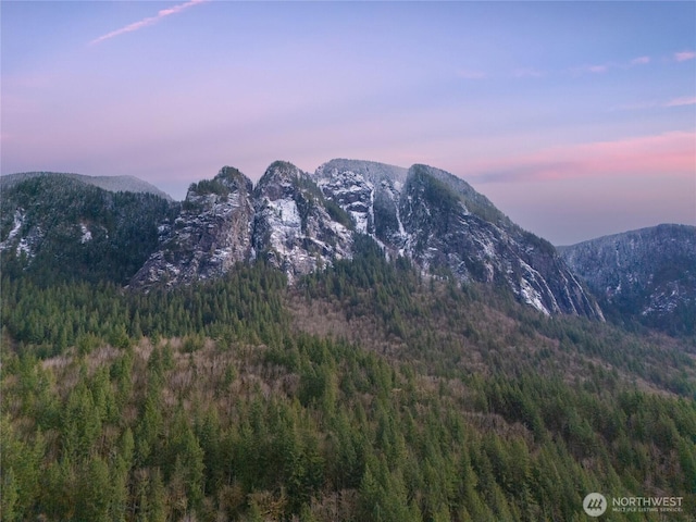 7339 Moon Valley Rd SE, North Bend, WA 98045 - property view of mountains with a wooded view