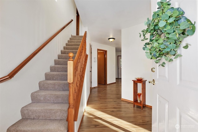 stairs with hardwood / wood-style flooring