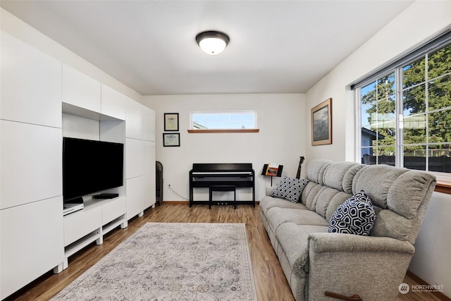 living room featuring hardwood / wood-style floors