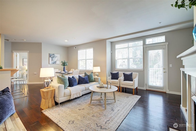 living room with dark hardwood / wood-style floors