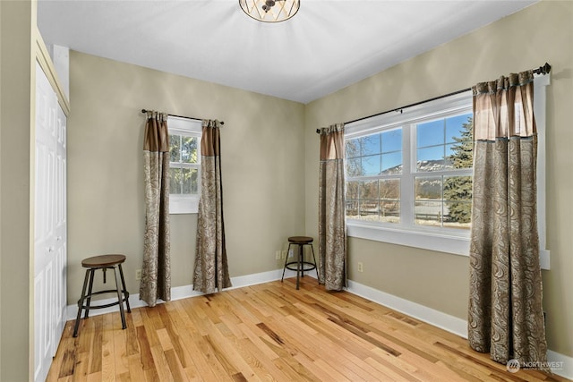 empty room featuring light wood-type flooring