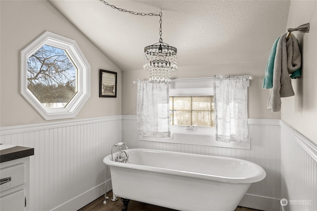 bathroom featuring lofted ceiling, a healthy amount of sunlight, vanity, and a bathing tub