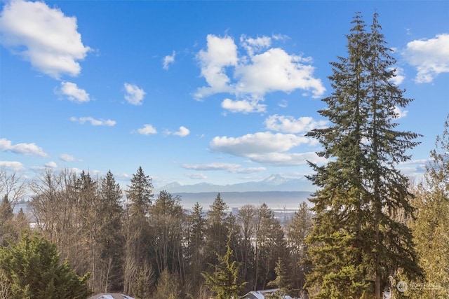 view of local wilderness with a mountain view