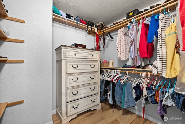 spacious closet with hardwood / wood-style flooring