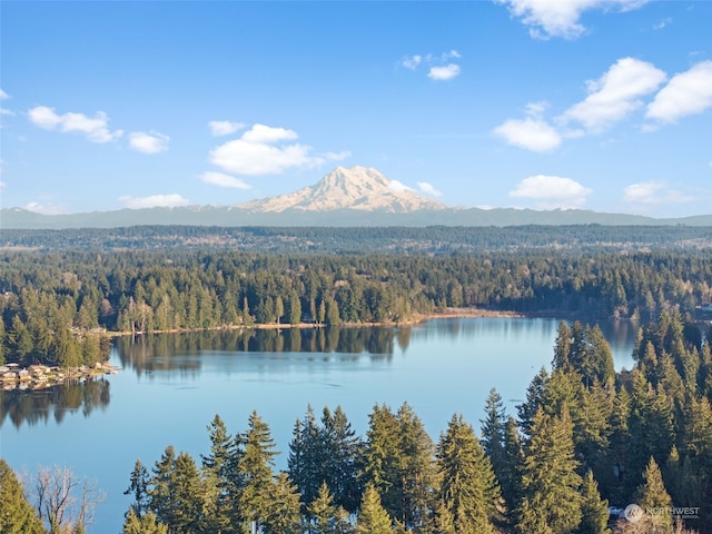 water view featuring a mountain view