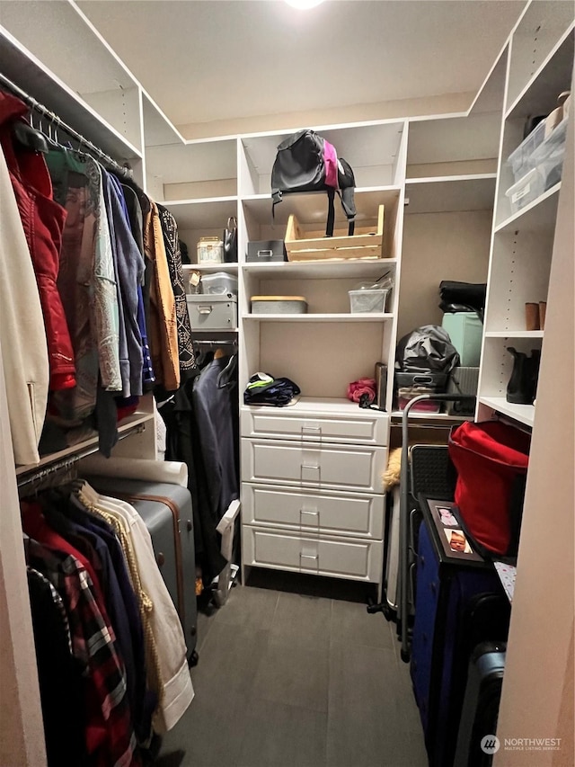 view of walk in closet