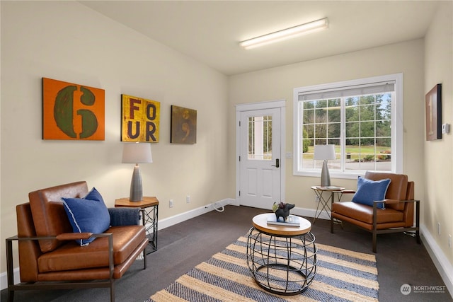 sitting room with dark colored carpet