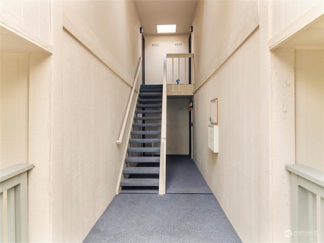 stairway featuring carpet floors