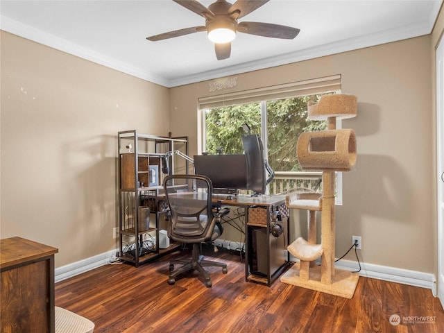 office area featuring dark wood-type flooring, crown molding, and ceiling fan