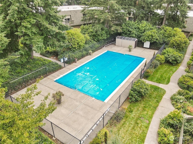 view of swimming pool featuring a patio area and a storage shed