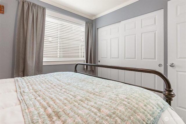 bedroom with ornamental molding and a closet