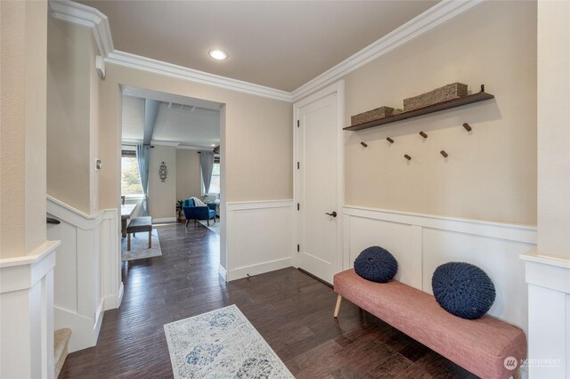 mudroom with dark wood-style floors, wainscoting, and ornamental molding