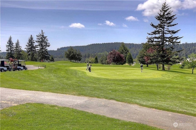 view of property's community with a yard