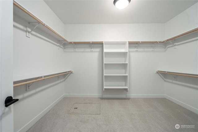 spacious closet featuring light colored carpet