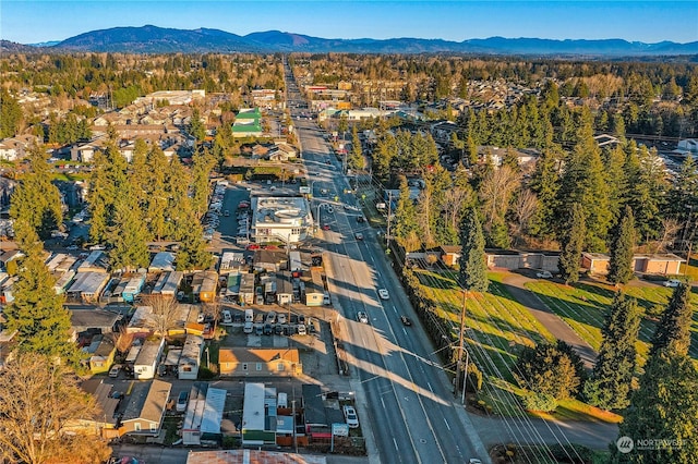 birds eye view of property with a mountain view