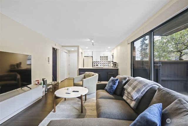 living room featuring dark hardwood / wood-style flooring