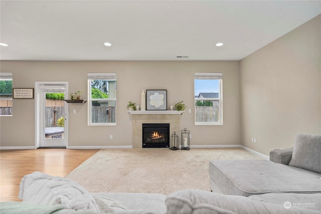 living room featuring light hardwood / wood-style flooring