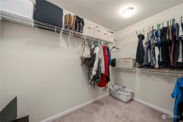 walk in closet with carpet