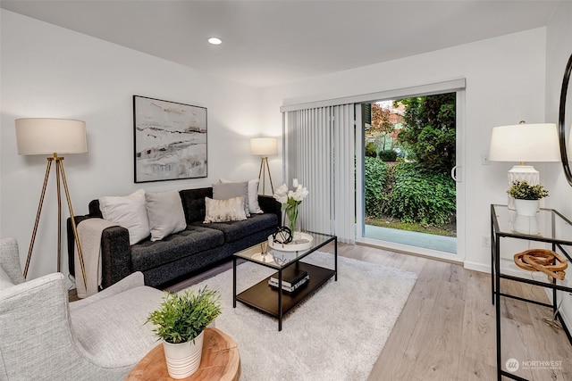 living room with light wood-type flooring