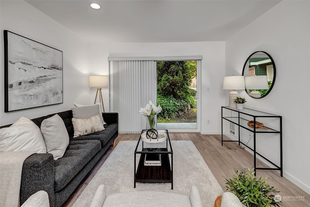 living room with wood-type flooring