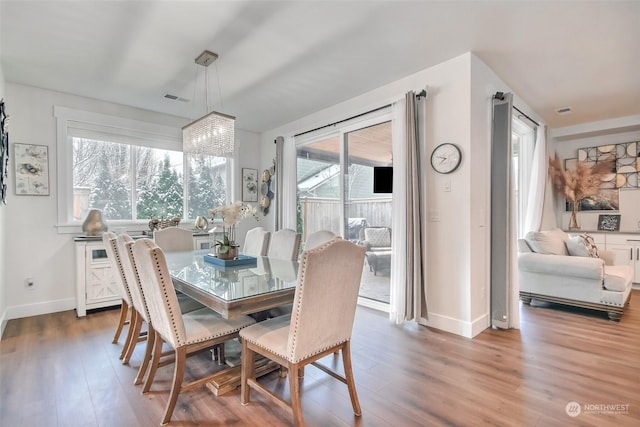 dining room with plenty of natural light and hardwood / wood-style floors